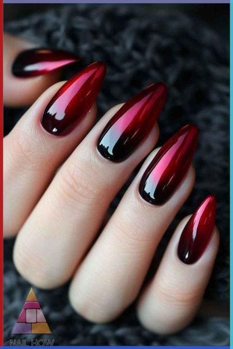 WhatsApp Image 2024-12-21 at 7.10.08 PM (1)