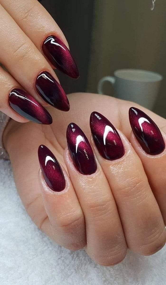 WhatsApp Image 2024-12-24 at 6.30.18 PM